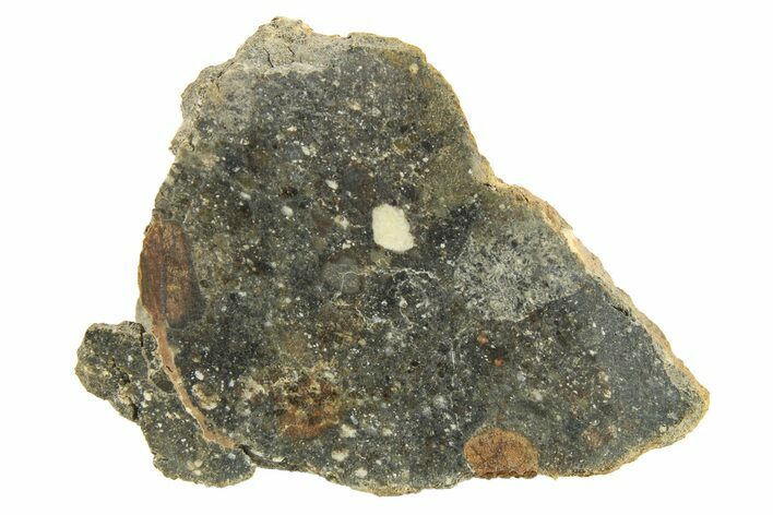 Polished Howardite Meteorite Section ( g) - Bechar #286954